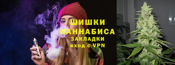 ГАЛЛЮЦИНОГЕННЫЕ ГРИБЫ Гусиноозёрск