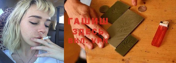стаф Гусев