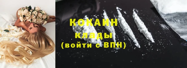 ГАЛЛЮЦИНОГЕННЫЕ ГРИБЫ Гусиноозёрск