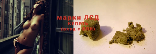 ГАЛЛЮЦИНОГЕННЫЕ ГРИБЫ Гусиноозёрск