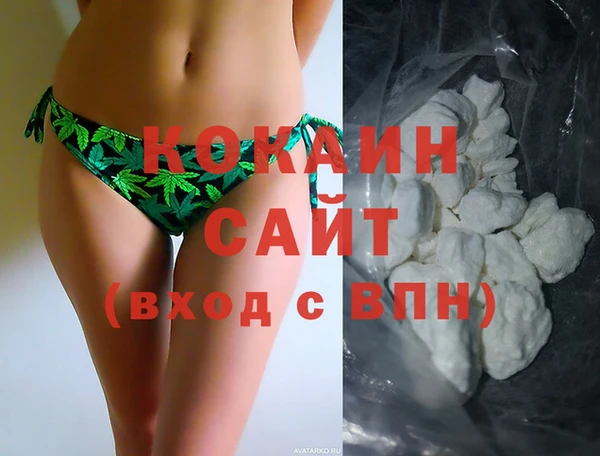 стаф Гусев