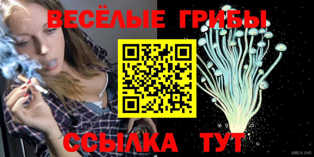 Псилоцибиновые грибы MAGIC MUSHROOMS  Вход с VPN  Наро-Фоминск 